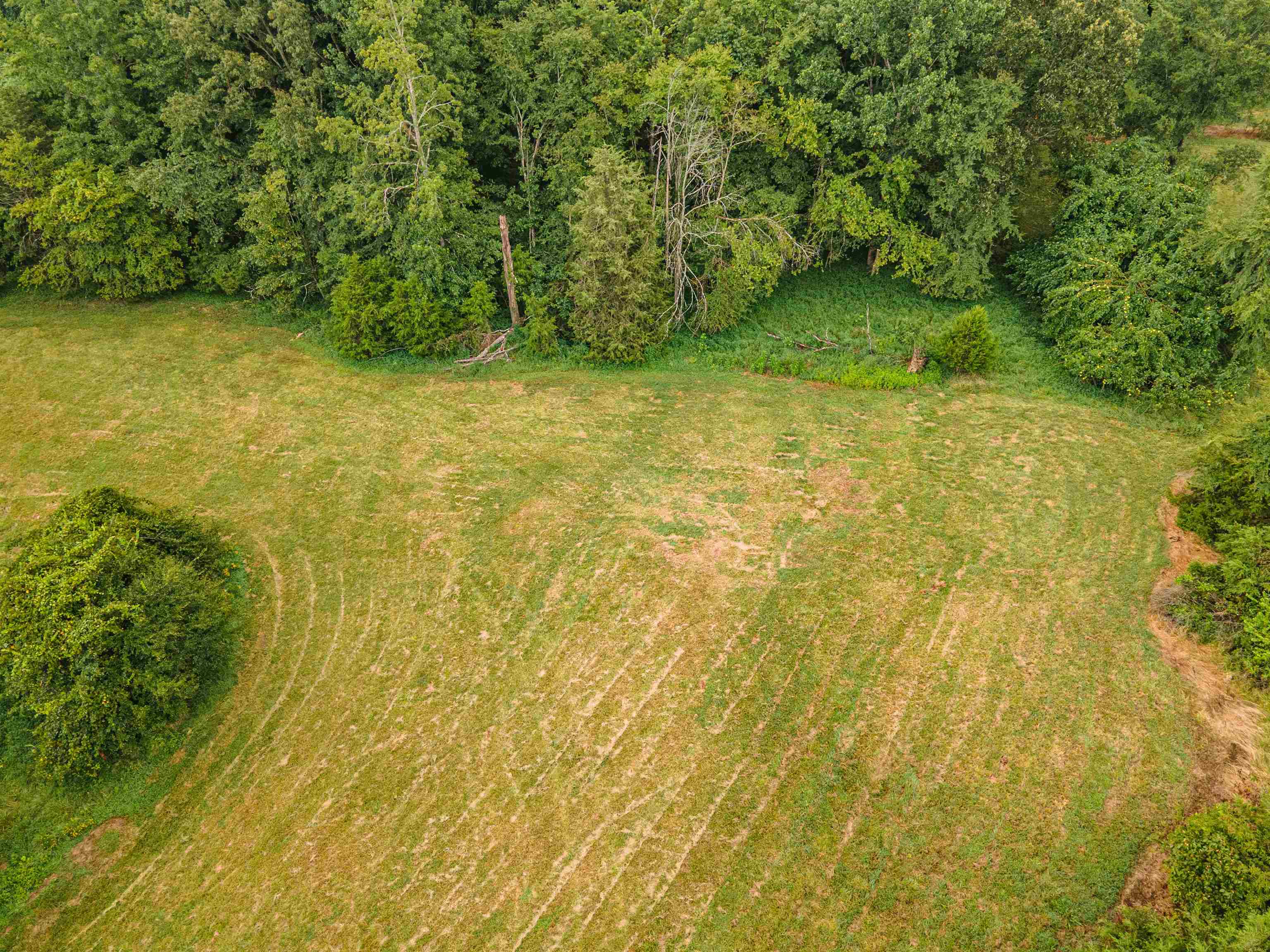 Country Club Road Somerville, TN 38068 - Photo 2 of 22 a view of a yard