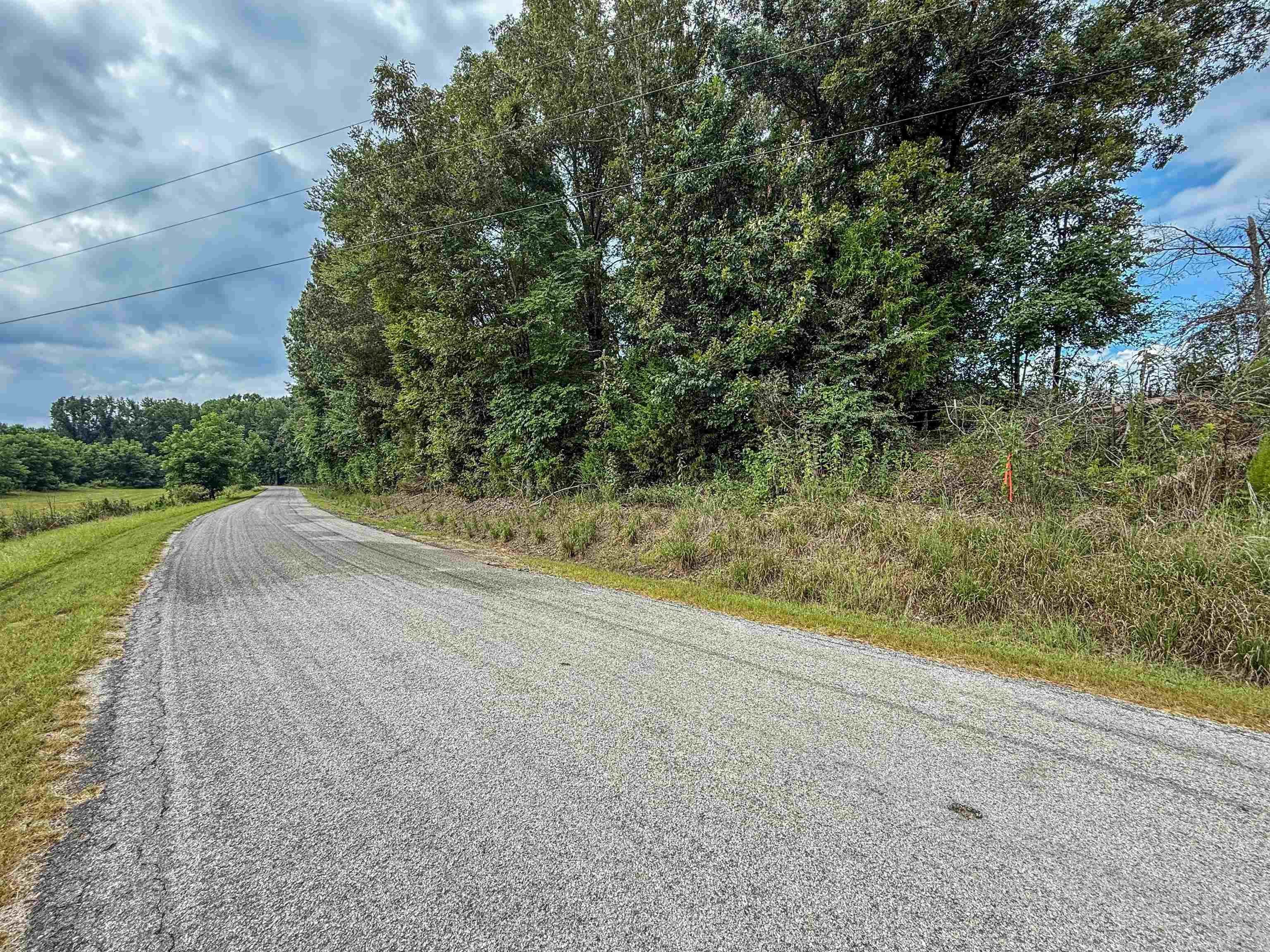 Country Club Road Somerville, TN 38068 - Photo 21 of 22 a view of a yard with a tree