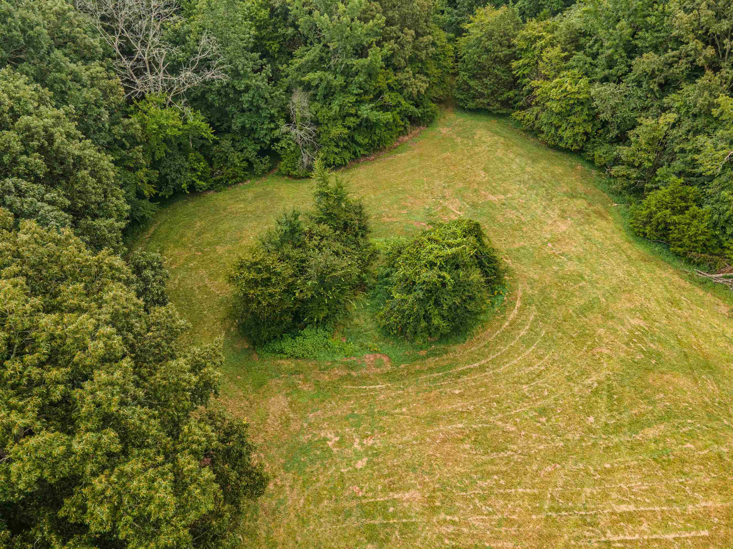 Country Club Road Somerville, TN 38068 - Photo 3 of 22 a view of a trees