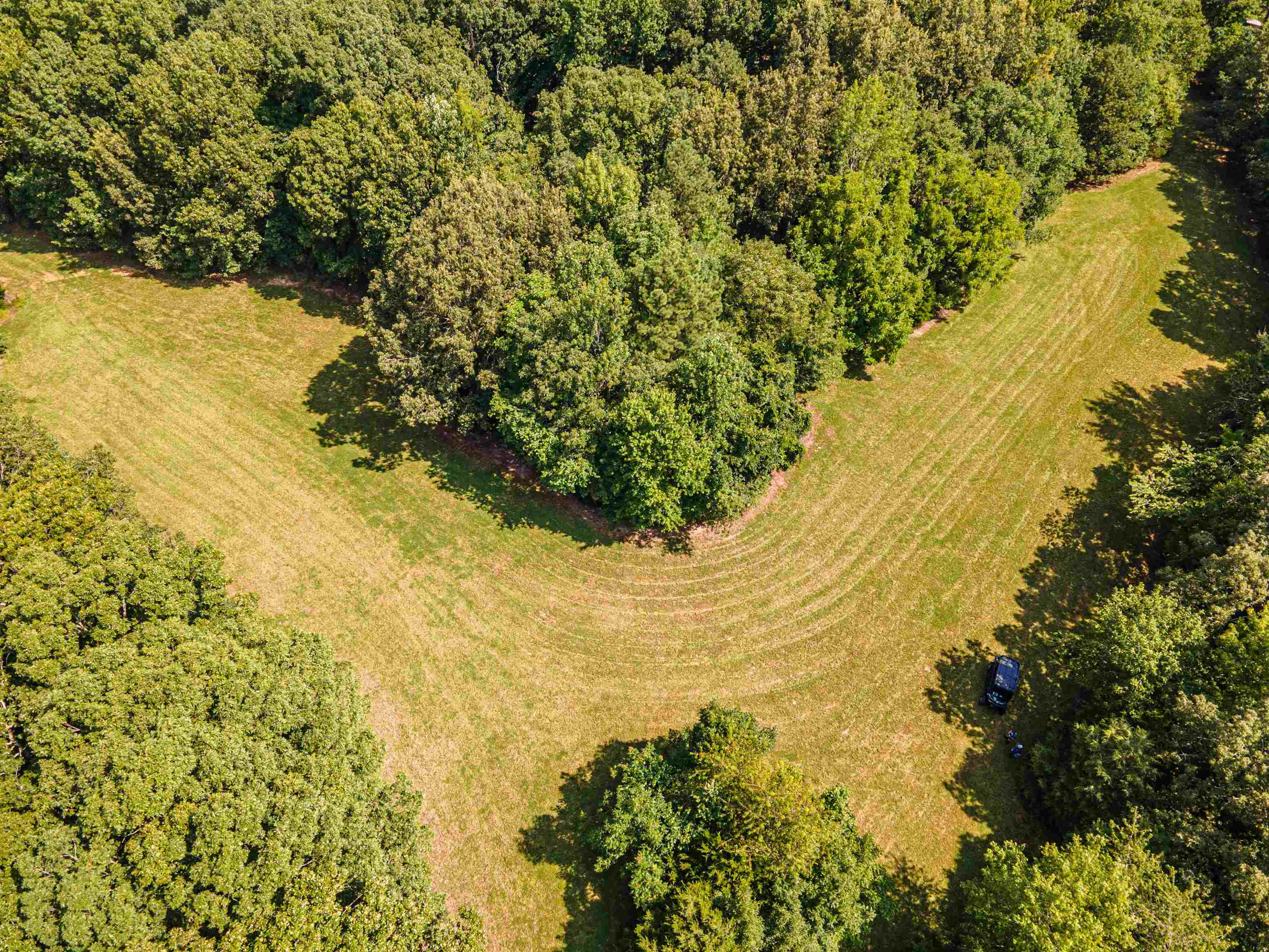 Country Club Road Somerville, TN 38068 - Photo 4 of 22