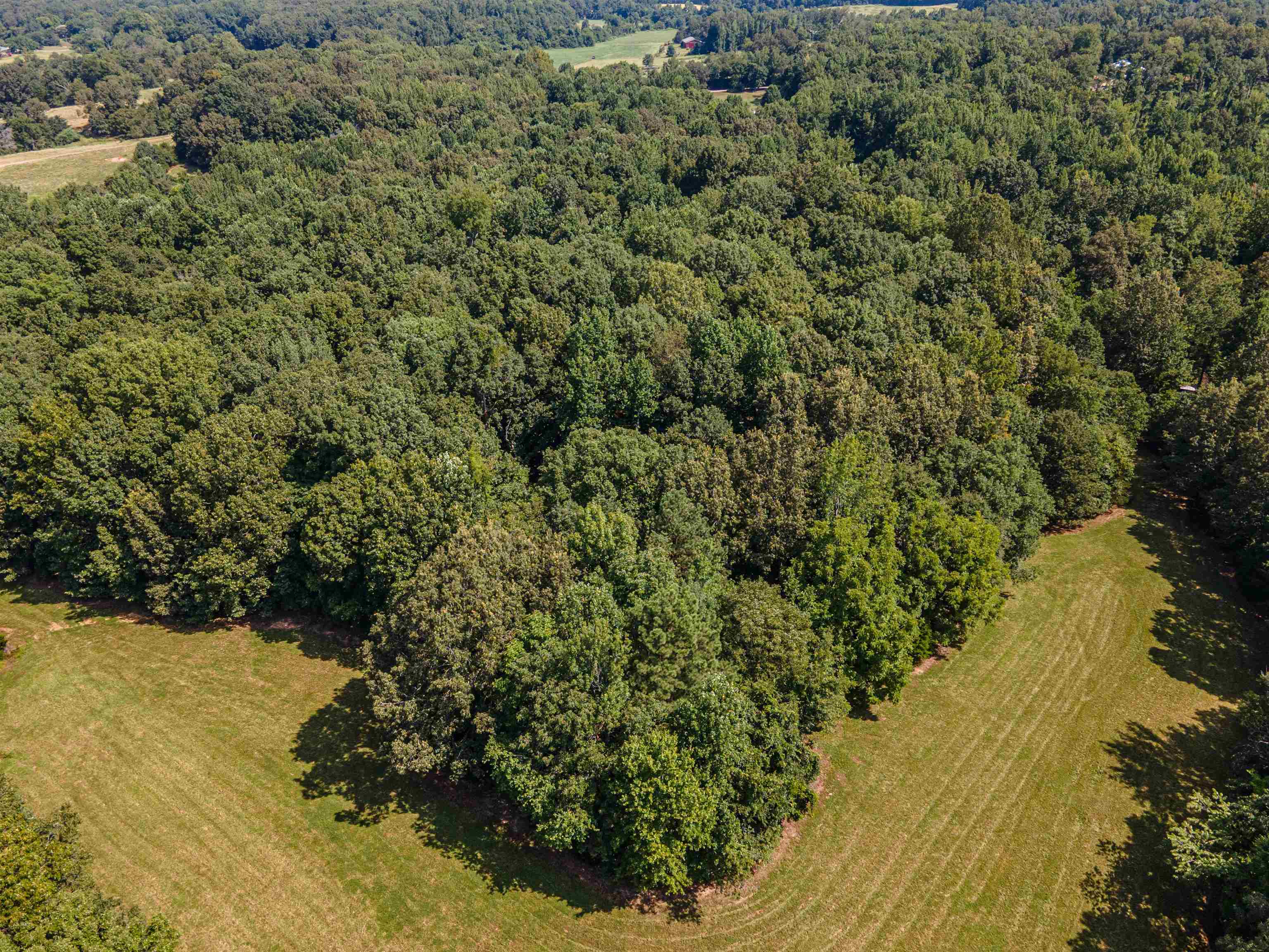 Country Club Road Somerville, TN 38068 - Photo 5 of 22 a view of a yard