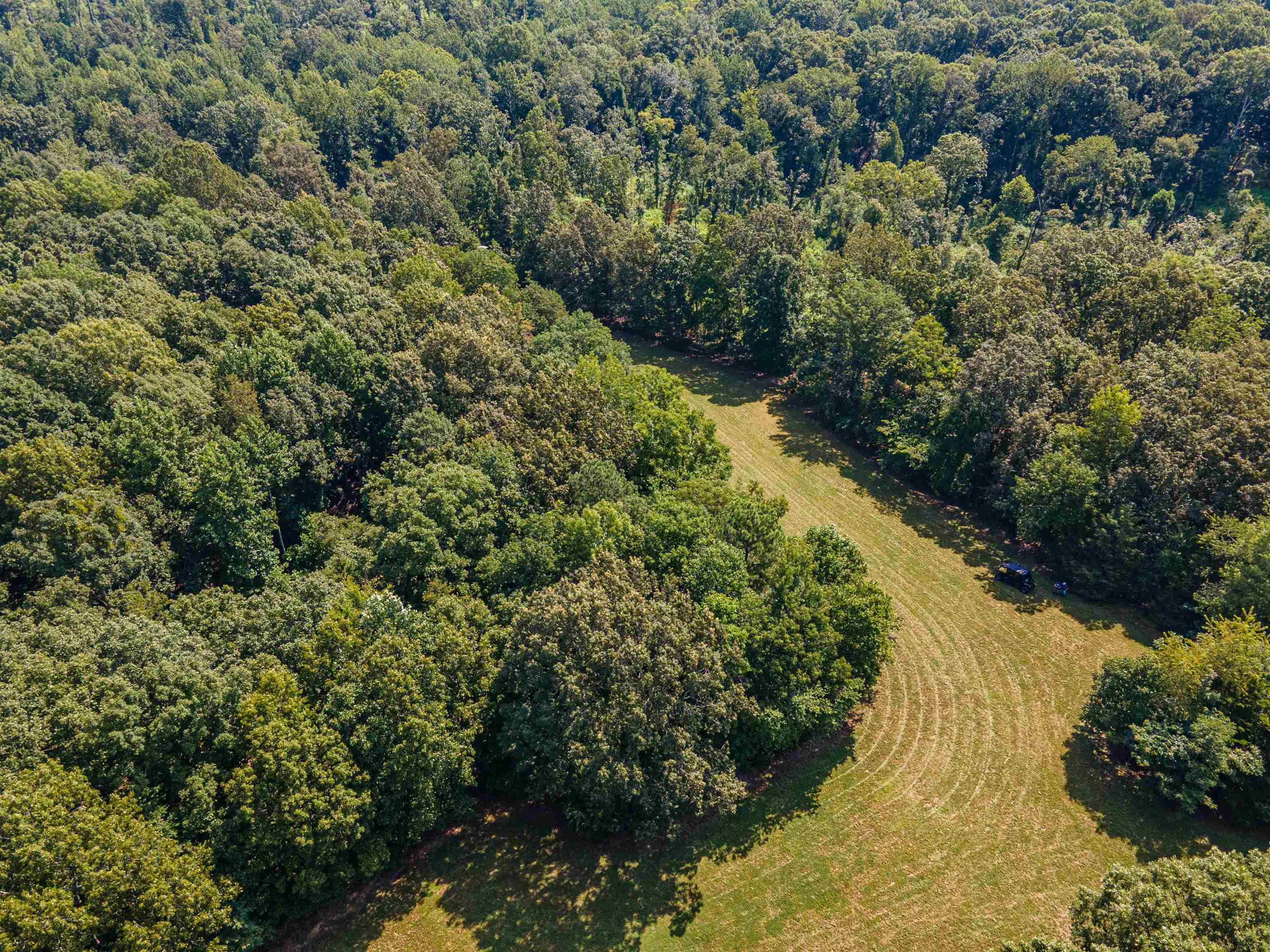 Country Club Road Somerville, TN 38068 - Photo 6 of 22 a view of a forest with a tree