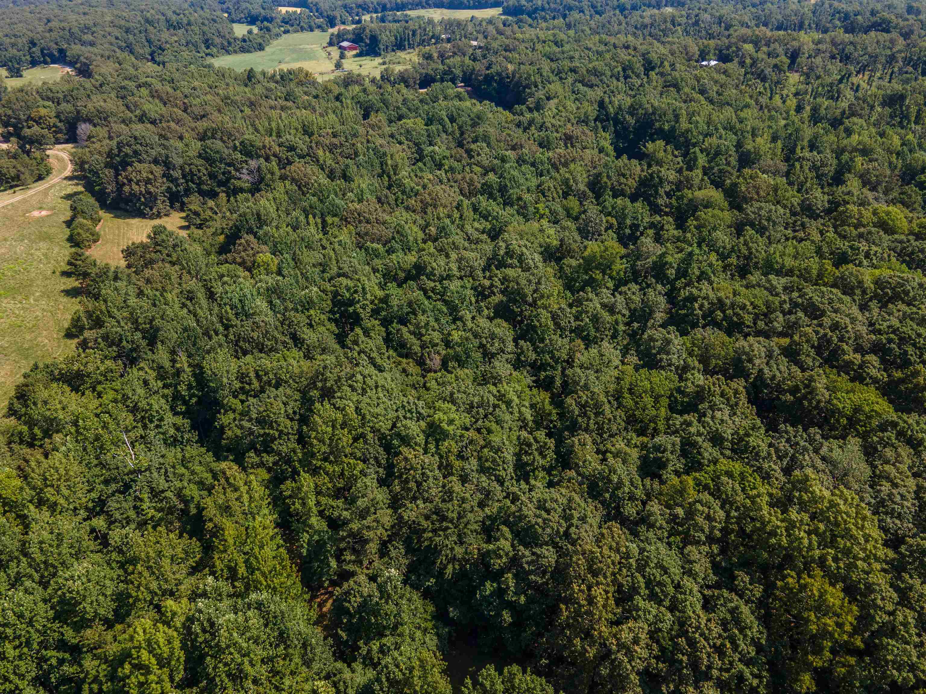 Country Club Road Somerville, TN 38068 - Photo 8 of 22 an outdoor view of house with green space