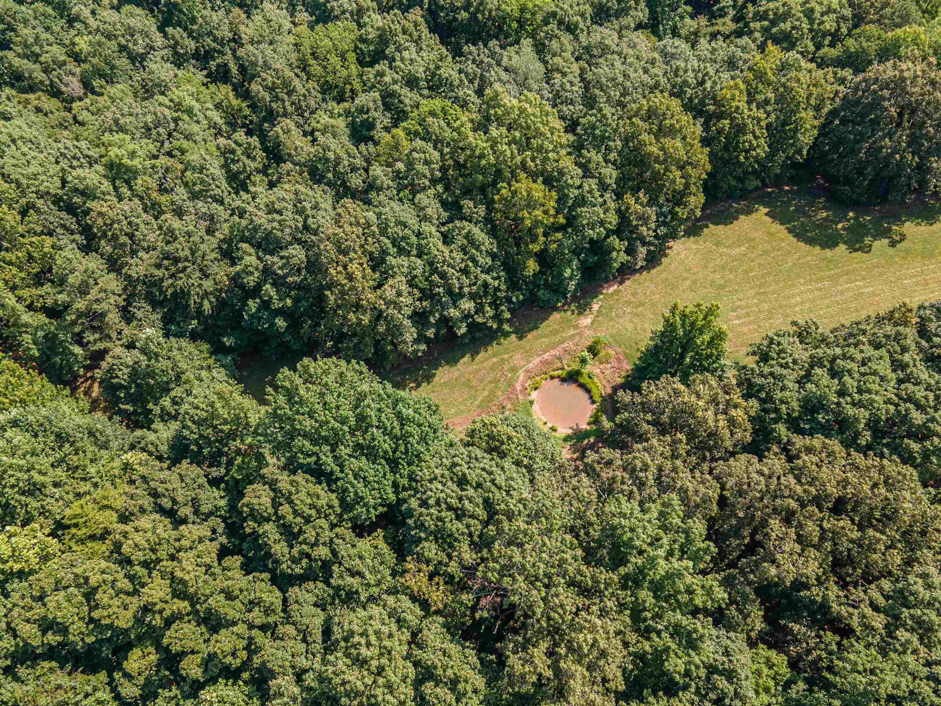 Country Club Road Somerville, TN 38068 - Photo 9 of 22 a view of a yard with plants