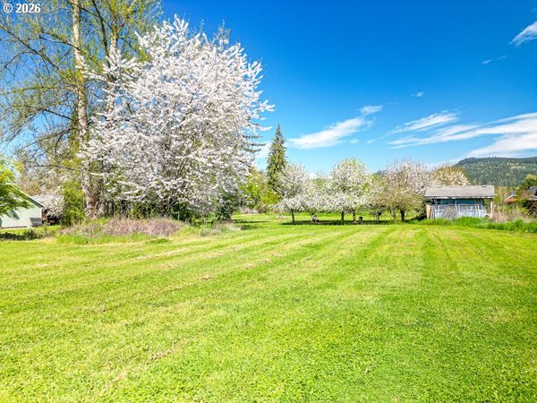 885 66th Street Springfield, OR 97478 - Photo 7 of 28 Backyard