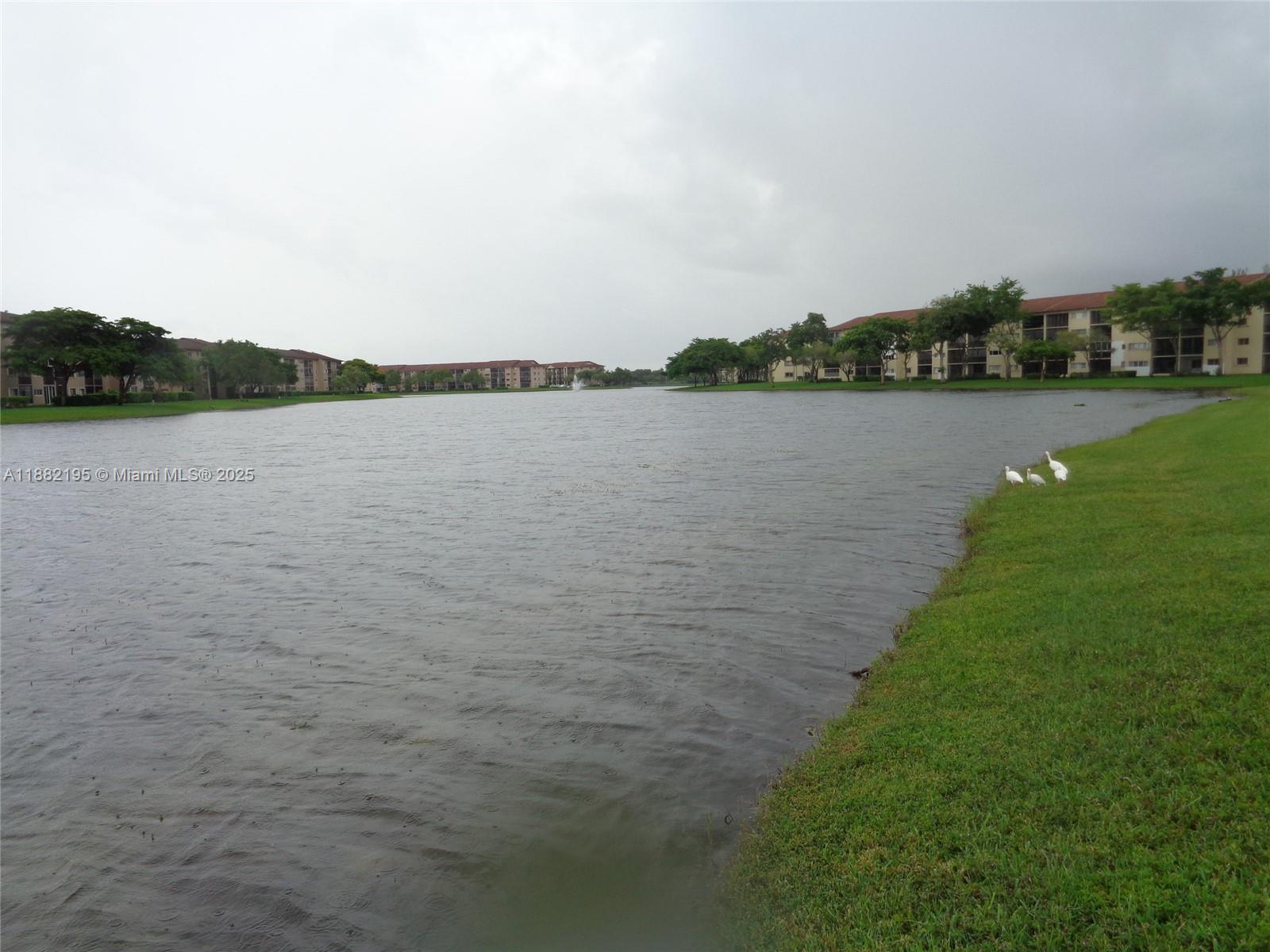 701 Southwest 141st Avenue, Unit 412R Pembroke Pines, FL 33027 - Photo 52 of 52 a view of a lake from a yard