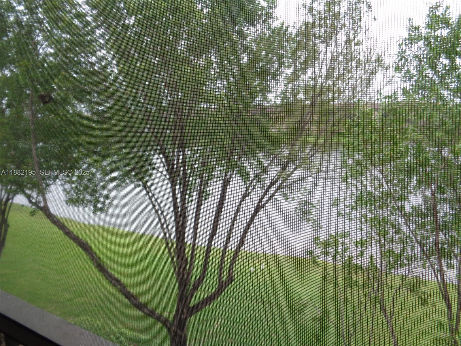 701 Southwest 141st Avenue, Unit 412R Pembroke Pines, FL 33027 - Photo 6 of 52 a view of a yard with a tree