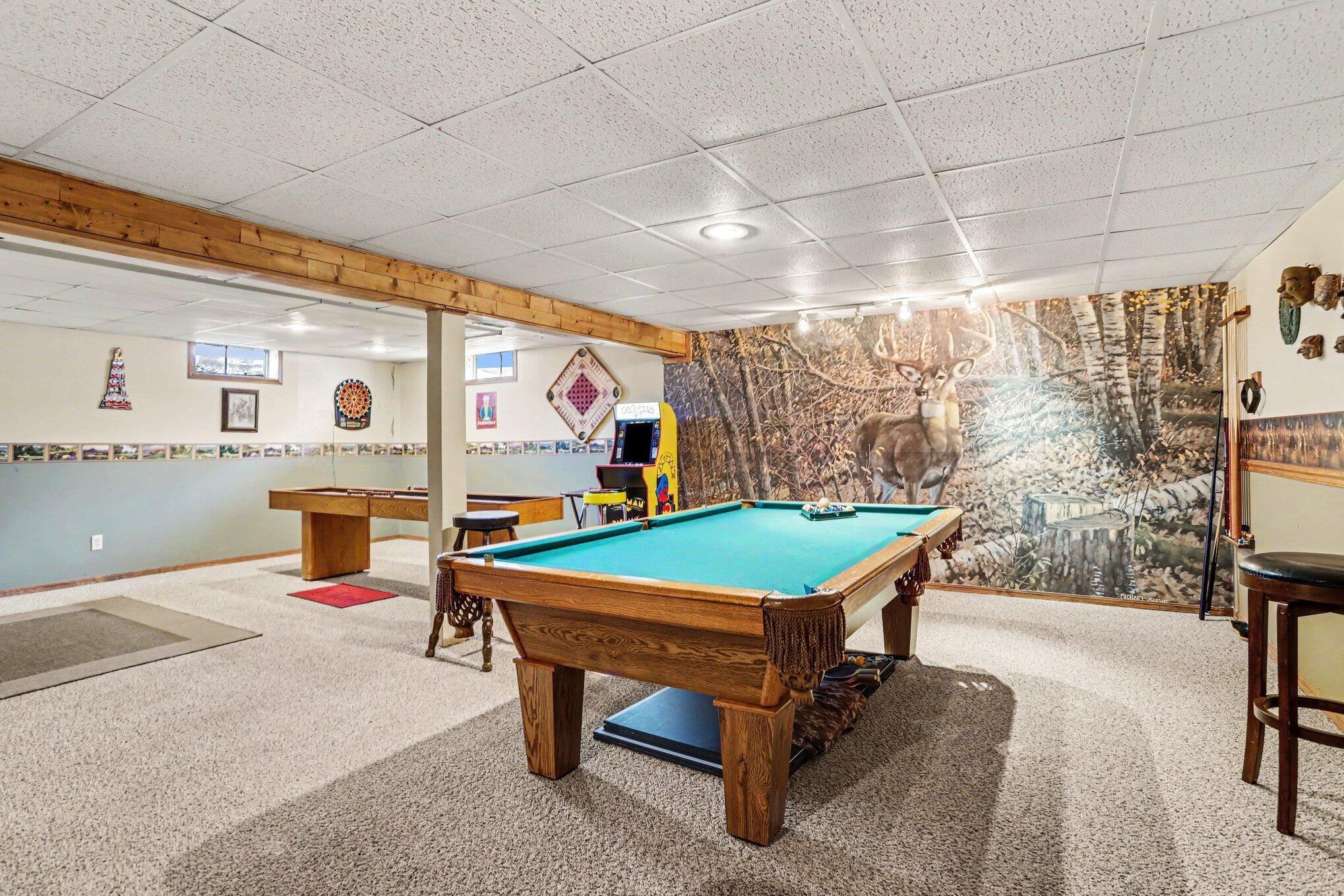 55019 North Fisher Lake Road Three Rivers, MI 49093 - Photo 20 of 34 Gaming Room