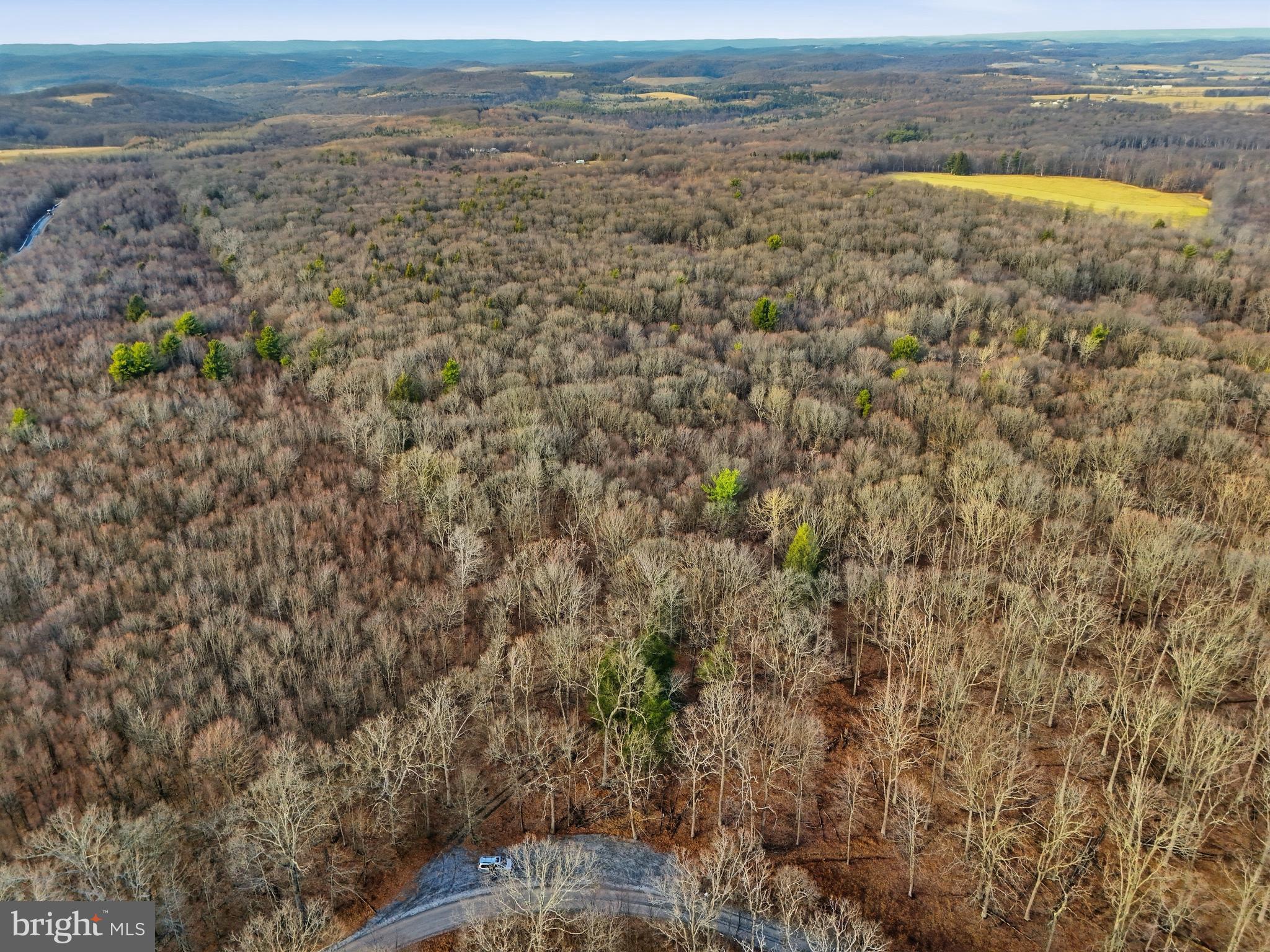0 Barrons Road Curwensville, PA 16833 - Photo 1 of 14 Aerial