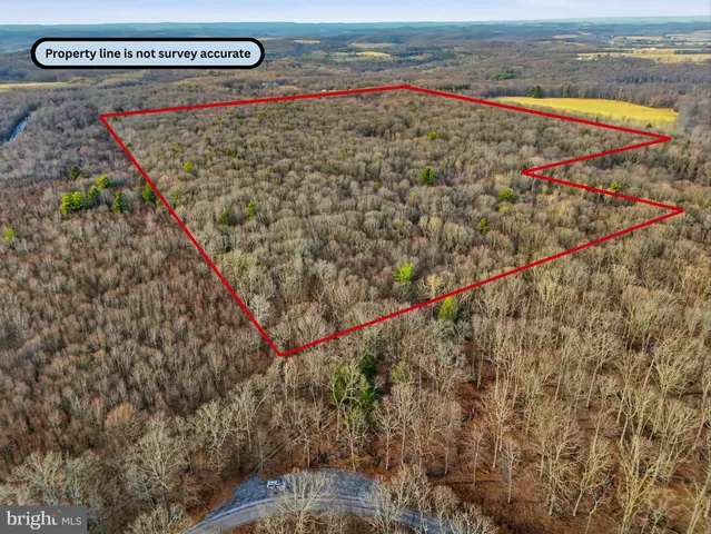 a view of a wooden fence
