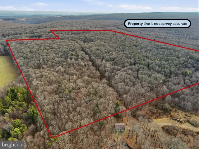 a view of a dry yard