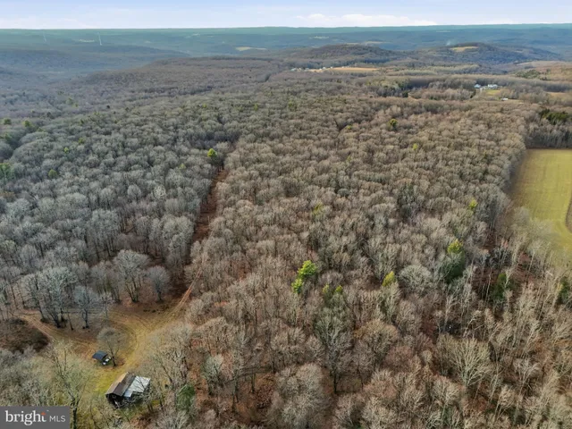 a view of city and ocean