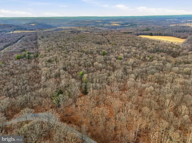 a view of a dry yard with wooden floor