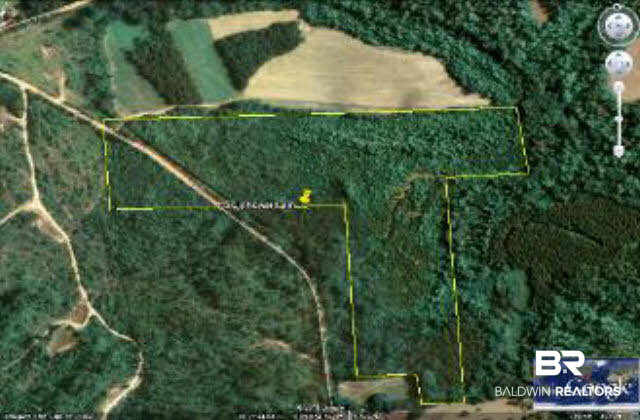 100 Pleasant Hill Road Evergreen, AL 36401 - Photo 1 of 1