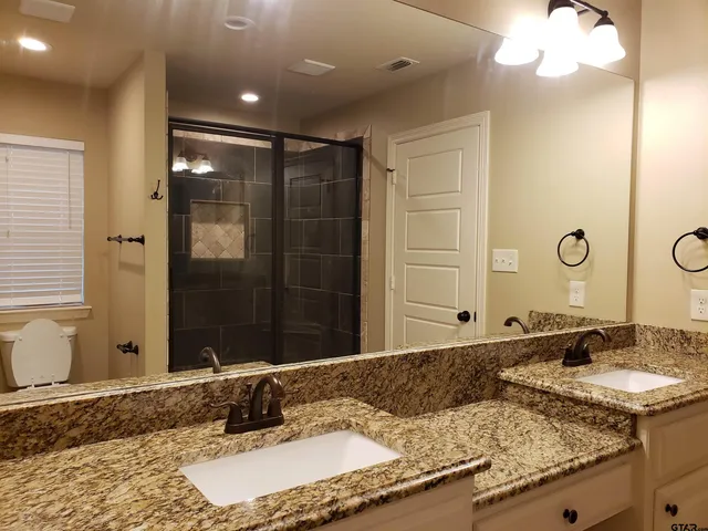 a bathroom with a granite countertop sink and a mirror