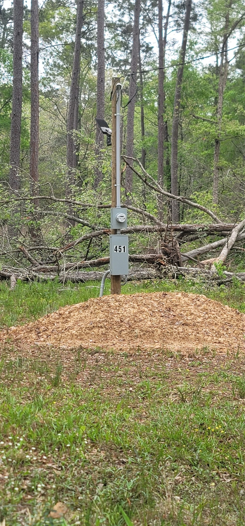 451 Higgins Road Shepherd, TX 77371 - Photo 2 of 22