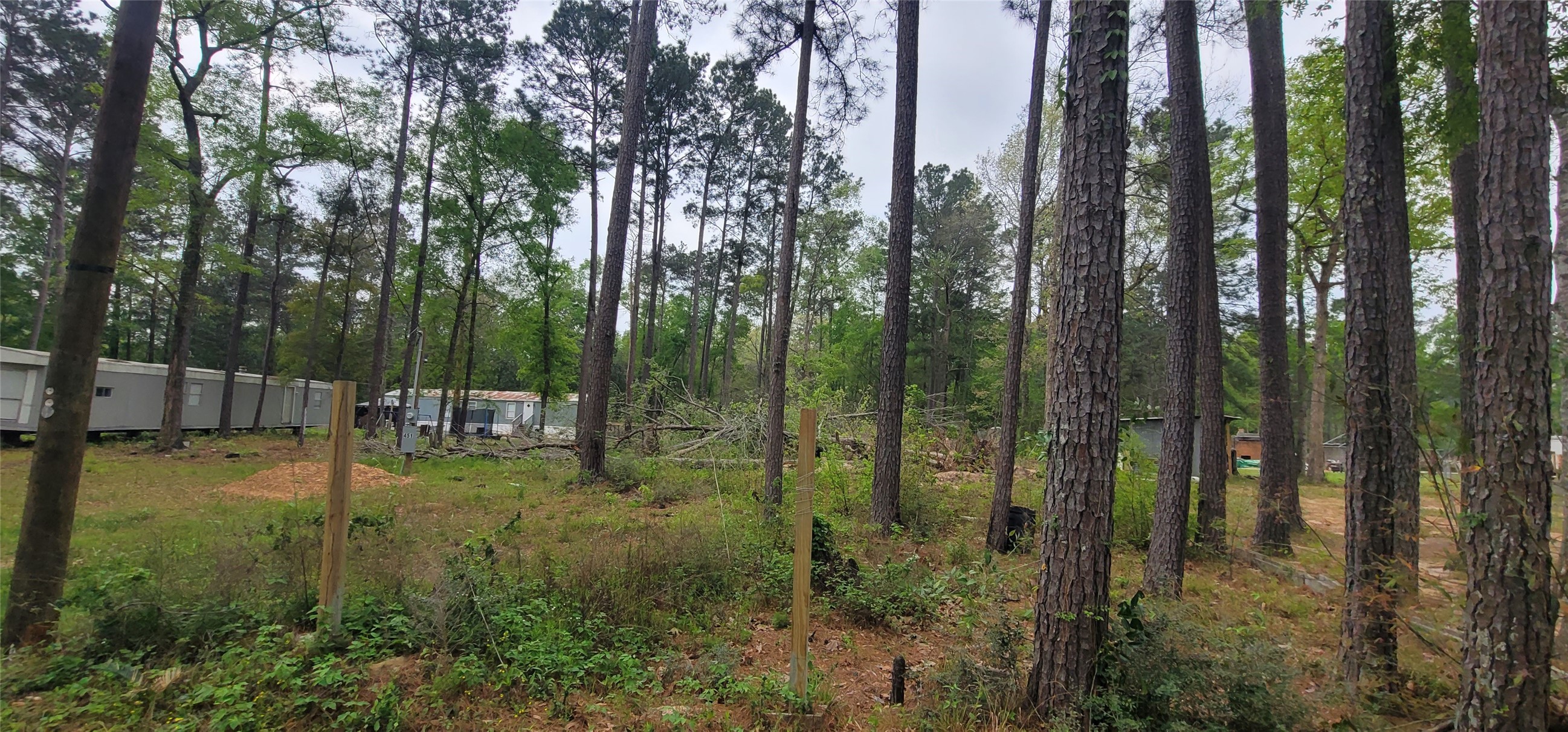 451 Higgins Road Shepherd, TX 77371 - Photo 3 of 22