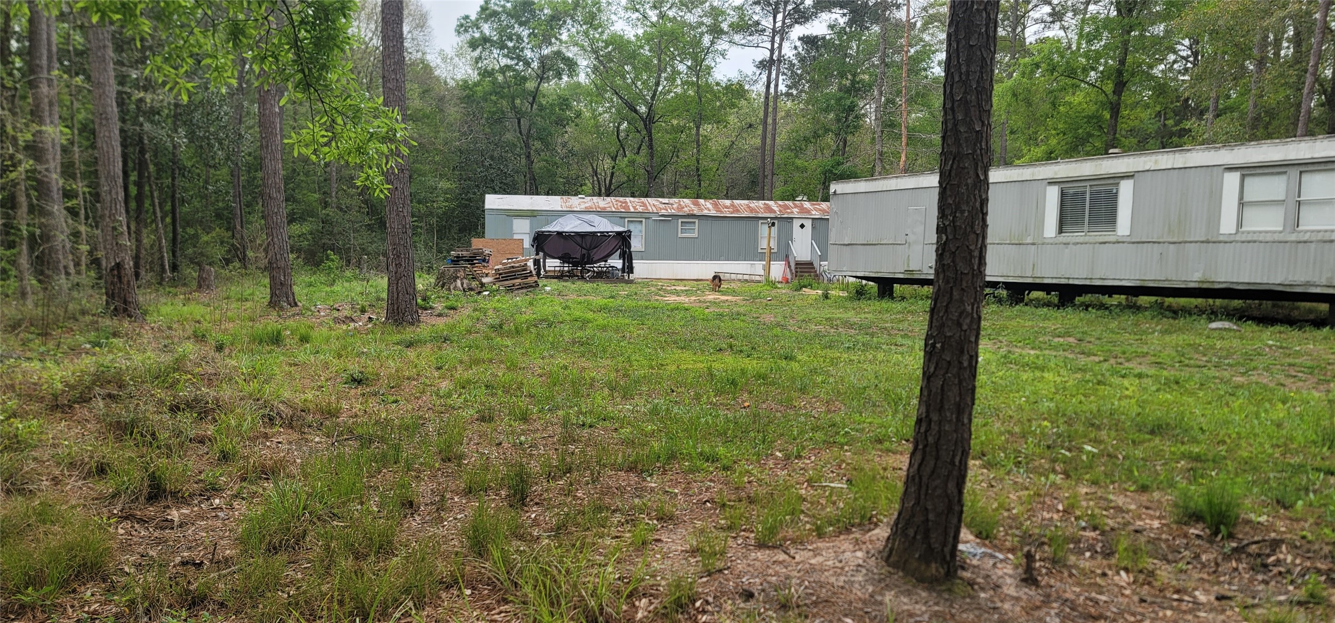 451 Higgins Road Shepherd, TX 77371 - Photo 5 of 22