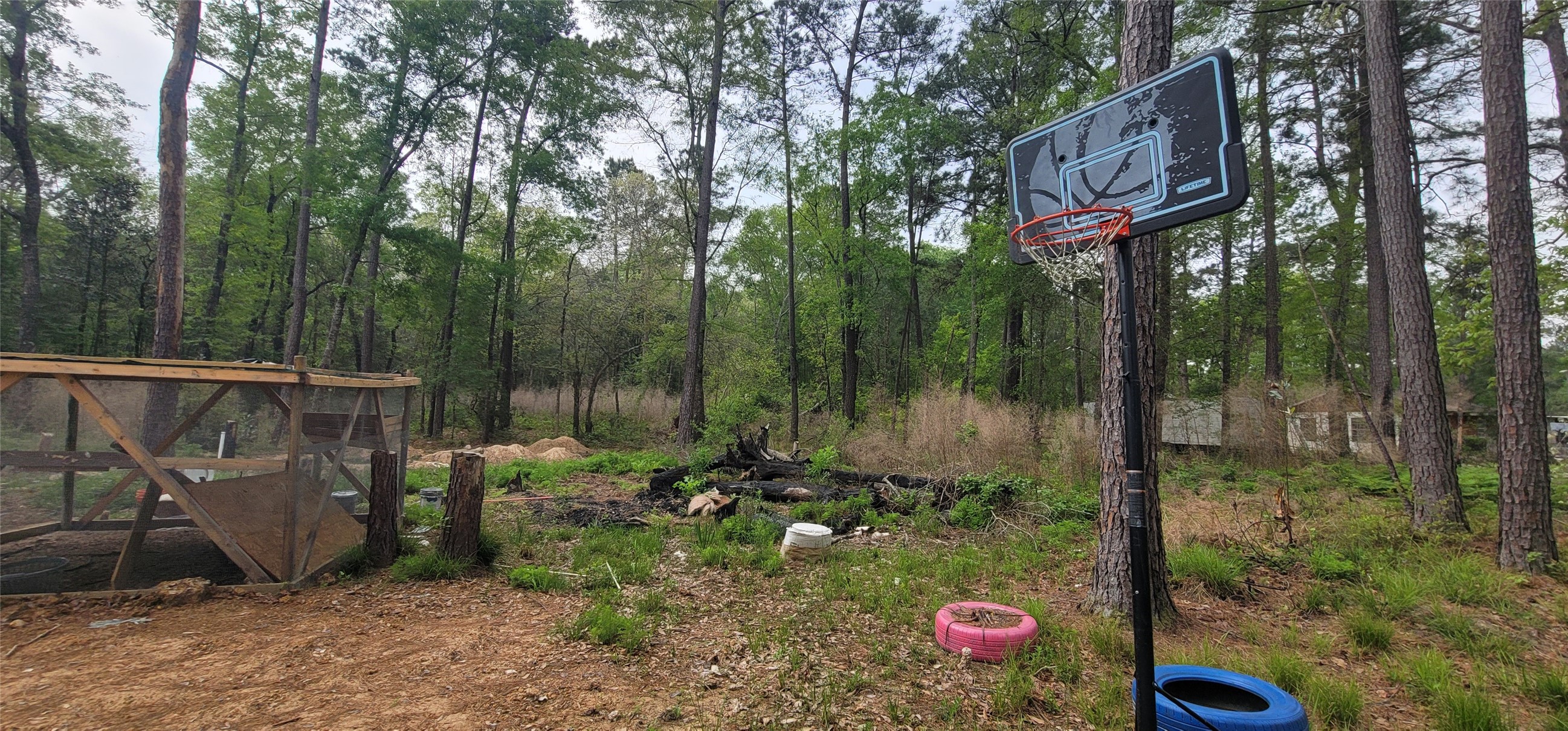 451 Higgins Road Shepherd, TX 77371 - Photo 7 of 22