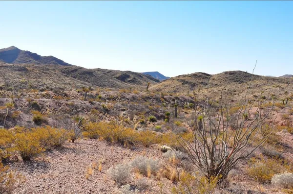 $40,000 | 0 N/a, Van Horn, TX 79855