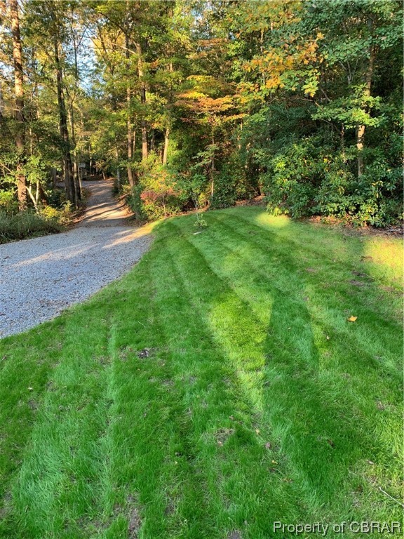 1239 Kelley Neck Road Lancaster, VA 22503 - Photo 44 of 48 View of yard