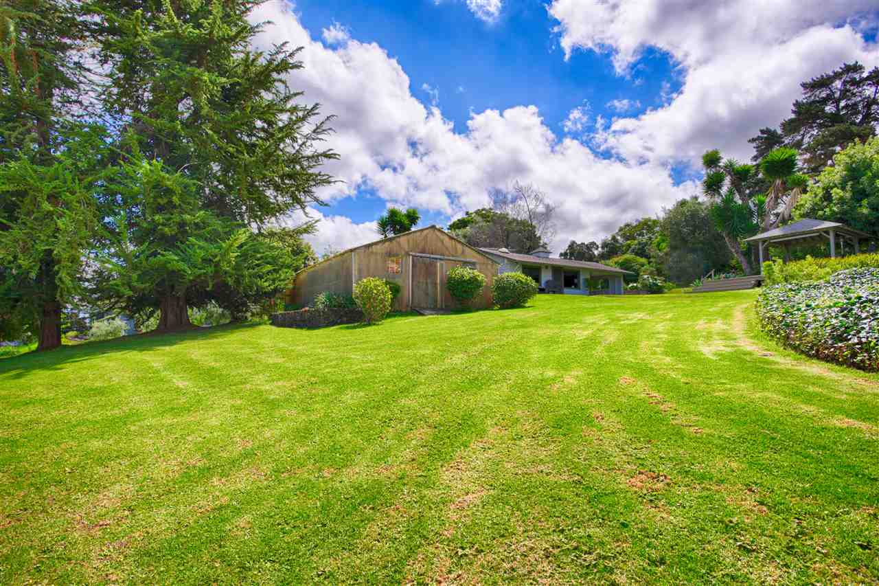 100 Ihe Place Kula, HI 96790 - Photo 16 of 18 a view of a garden