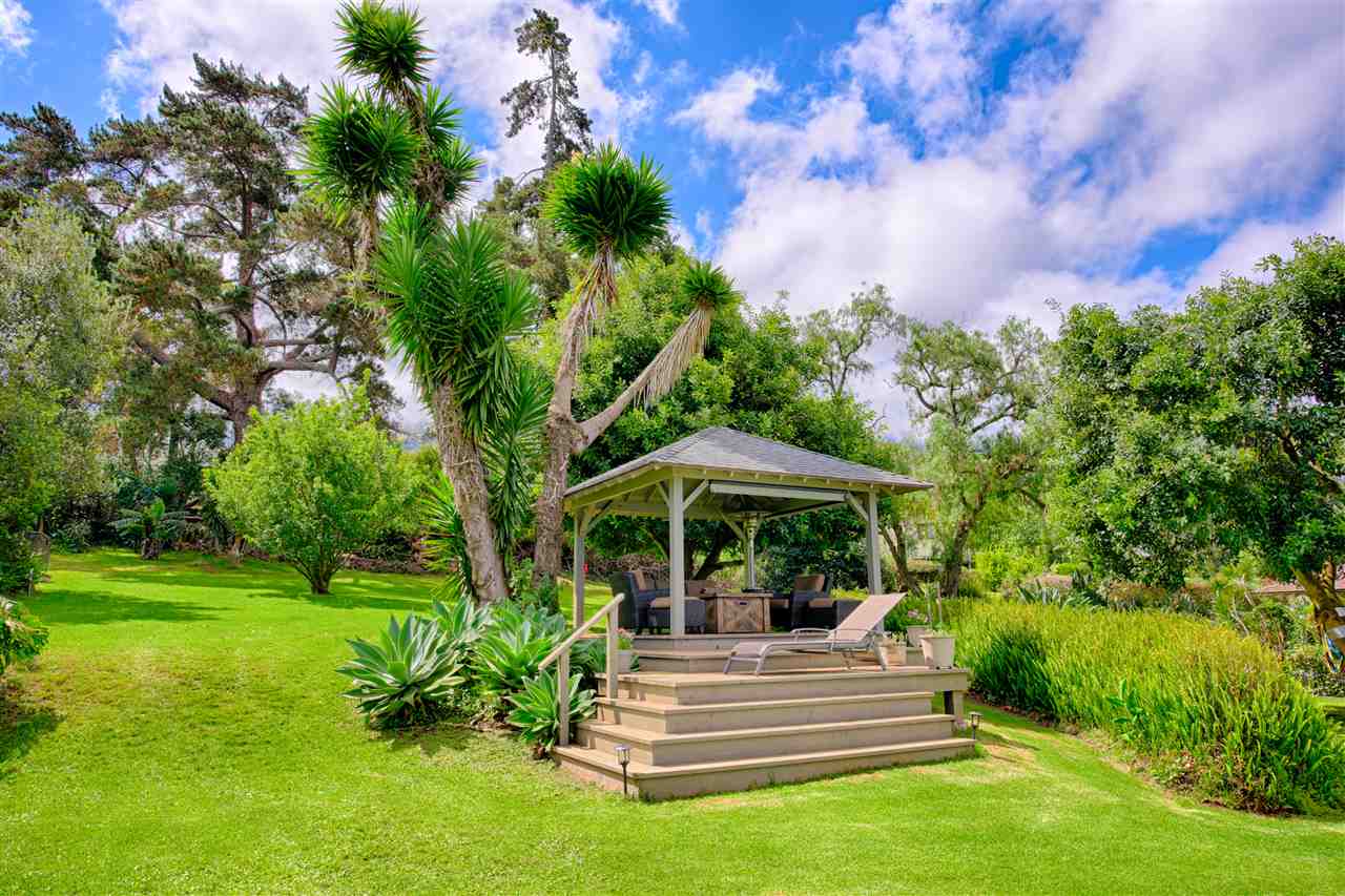 100 Ihe Place Kula, HI 96790 - Photo 3 of 18 a view of a garden with a fountain