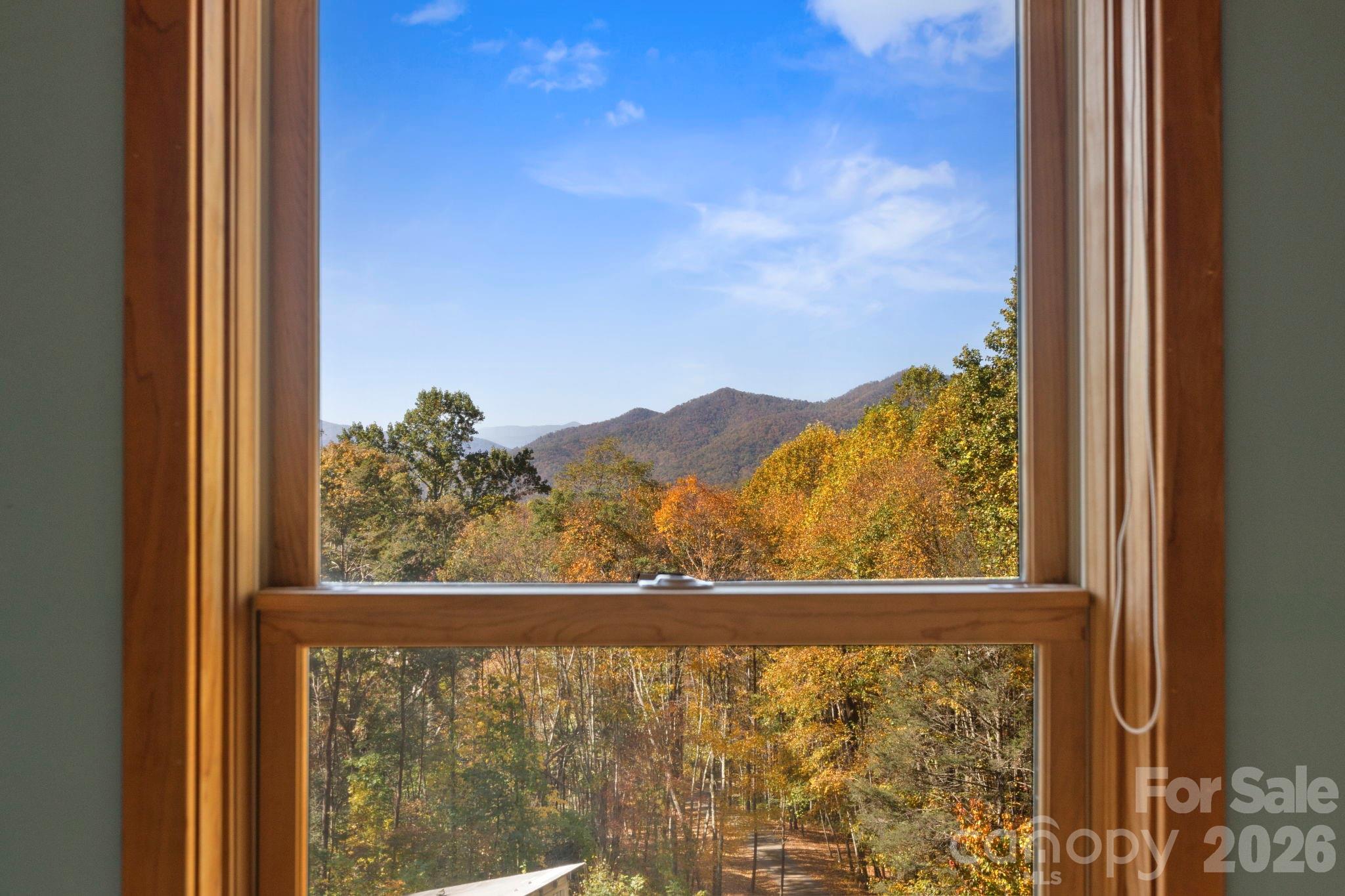 97 Old Cove Road Black Mountain, NC 28711 - Photo 20 of 33