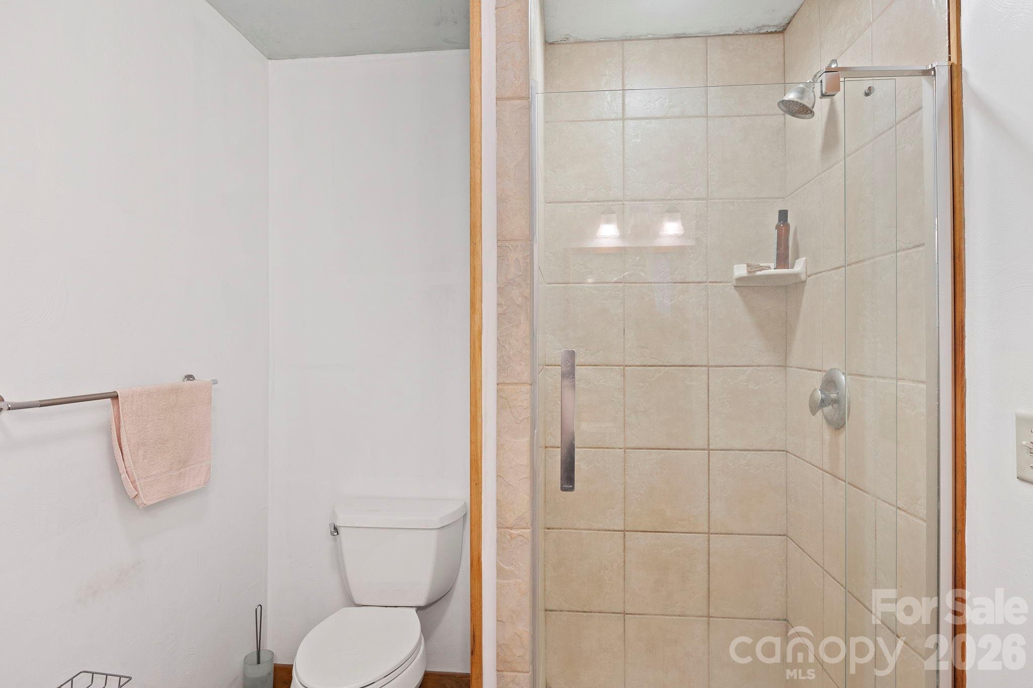97 Old Cove Road Black Mountain, NC 28711 - Photo 27 of 33