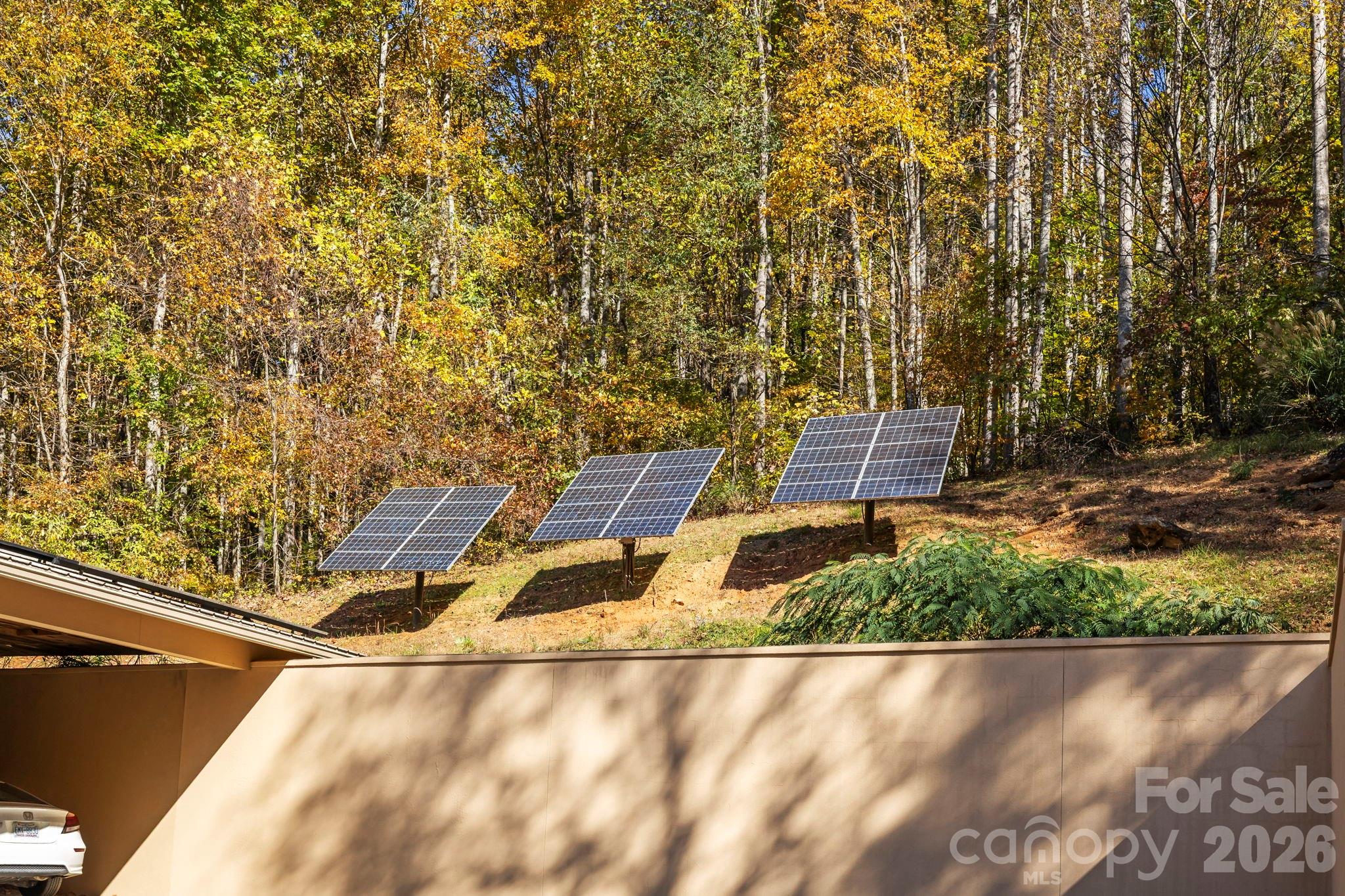 97 Old Cove Road Black Mountain, NC 28711 - Photo 7 of 33