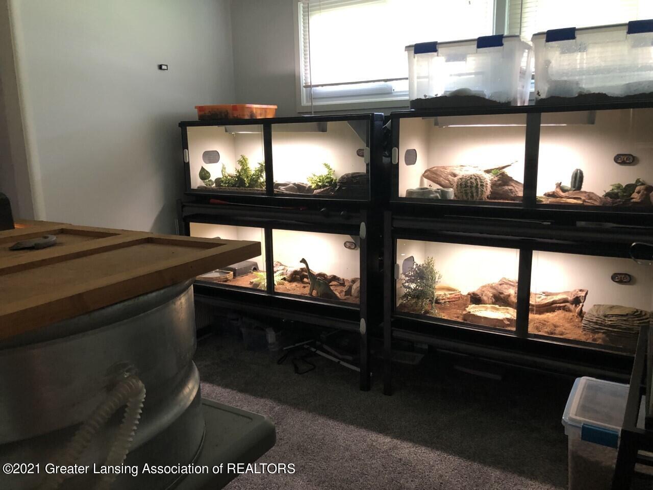 5643 Buckingham Road Haslett, MI 48840 - Photo 15 of 20 Reptile Room/BR