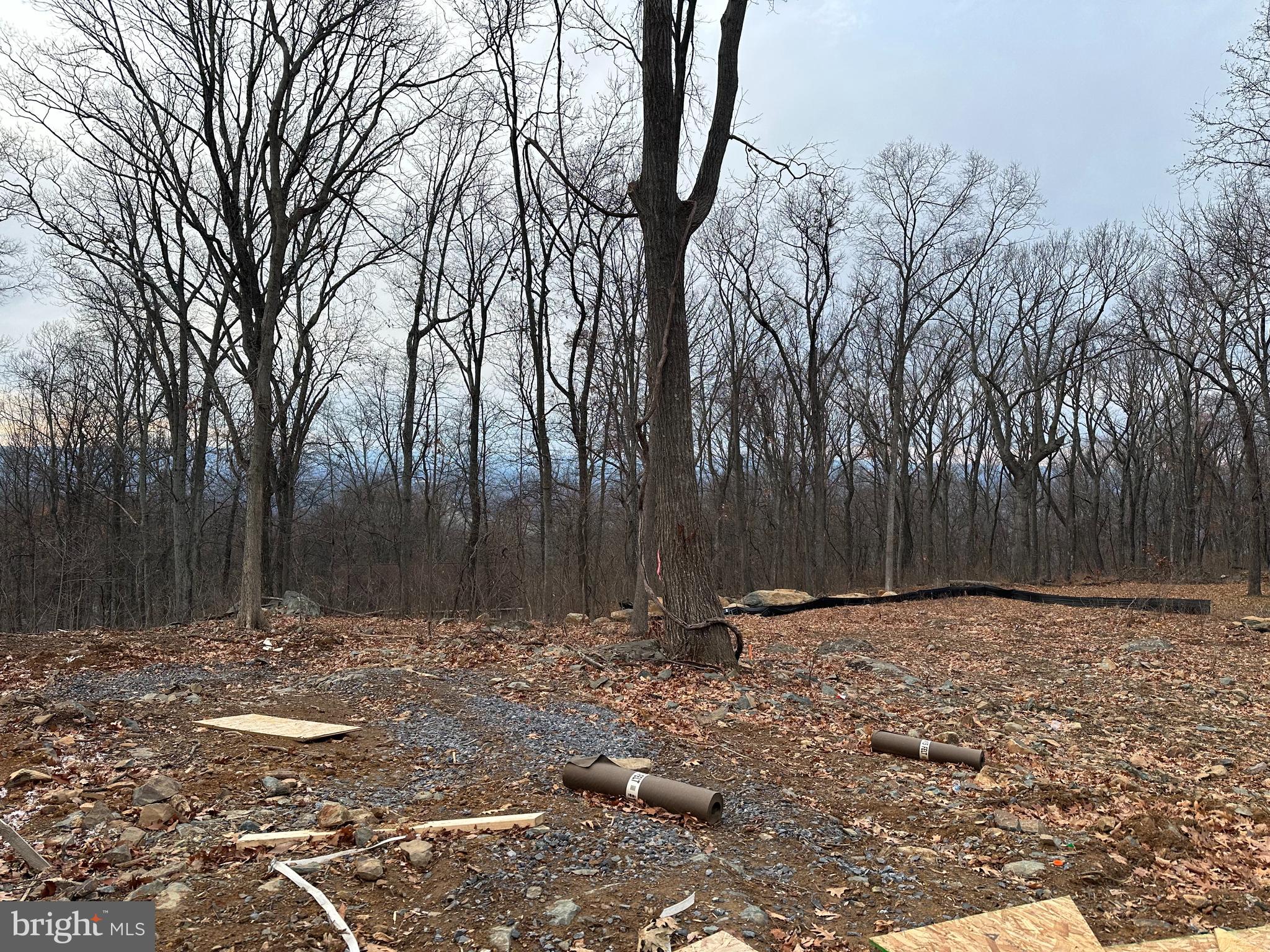 1111 High Top Road Linden, VA 22642 - Photo 3 of 20 Fantastic views!