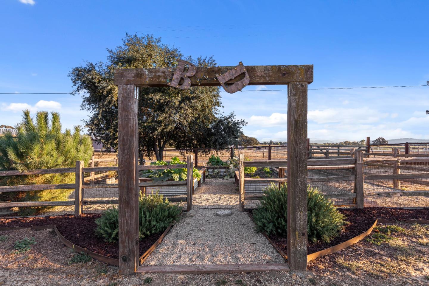 9735 New Avenue Gilroy, CA 95020 - Photo 25 of 52 a view of a building with a tree in front of it