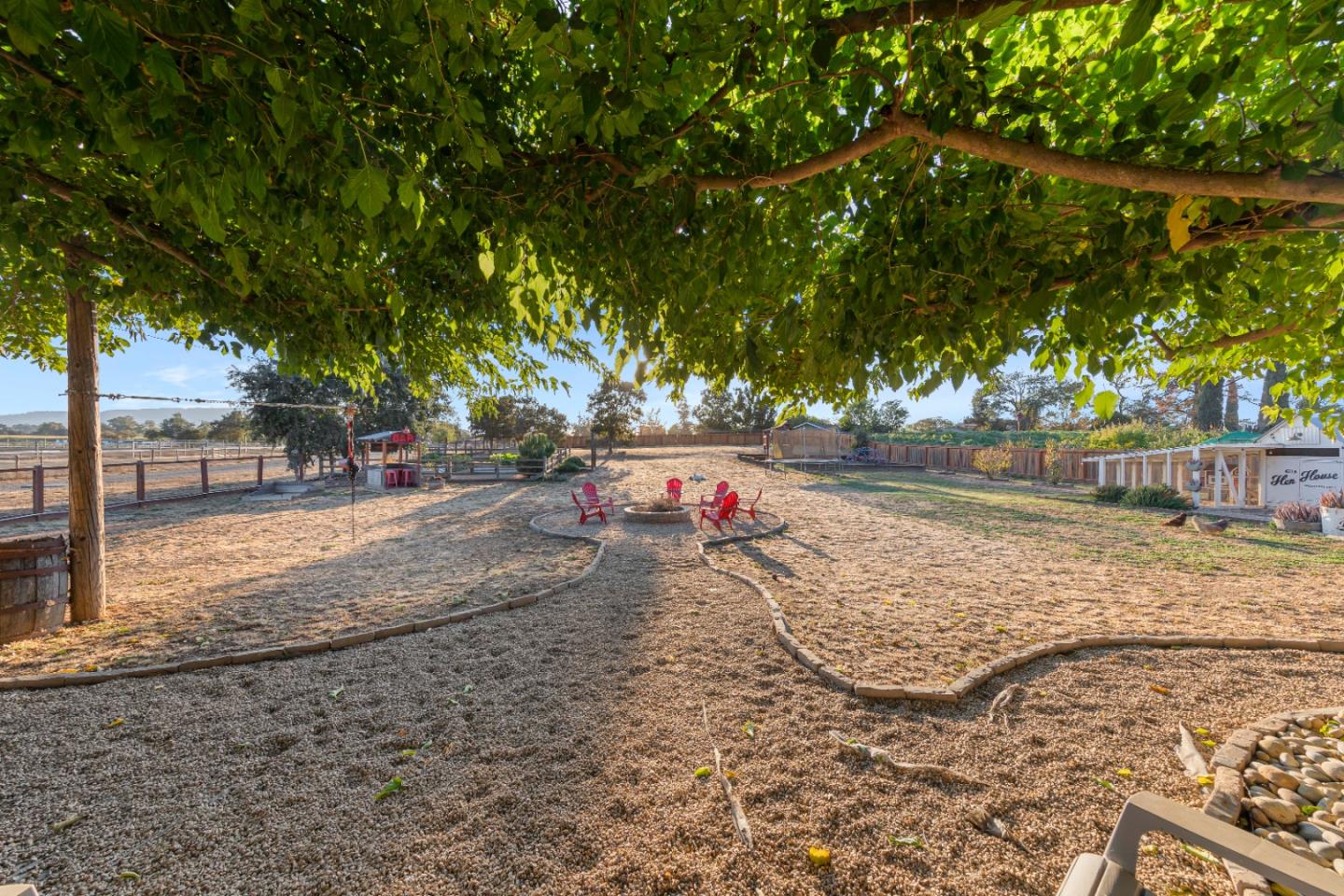 9735 New Avenue Gilroy, CA 95020 - Photo 34 of 52 a view of yard with tree