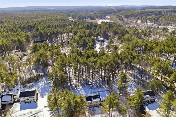 a view of a yard with plants and a bench