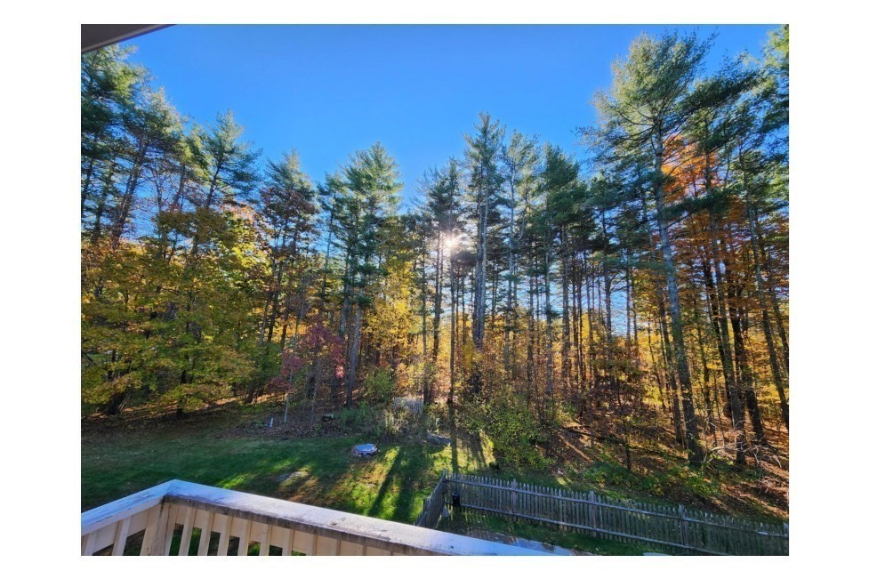 17 Longley Road Shirley, MA 01464 - Photo 31 of 33 a view of a yard with plants and a bench