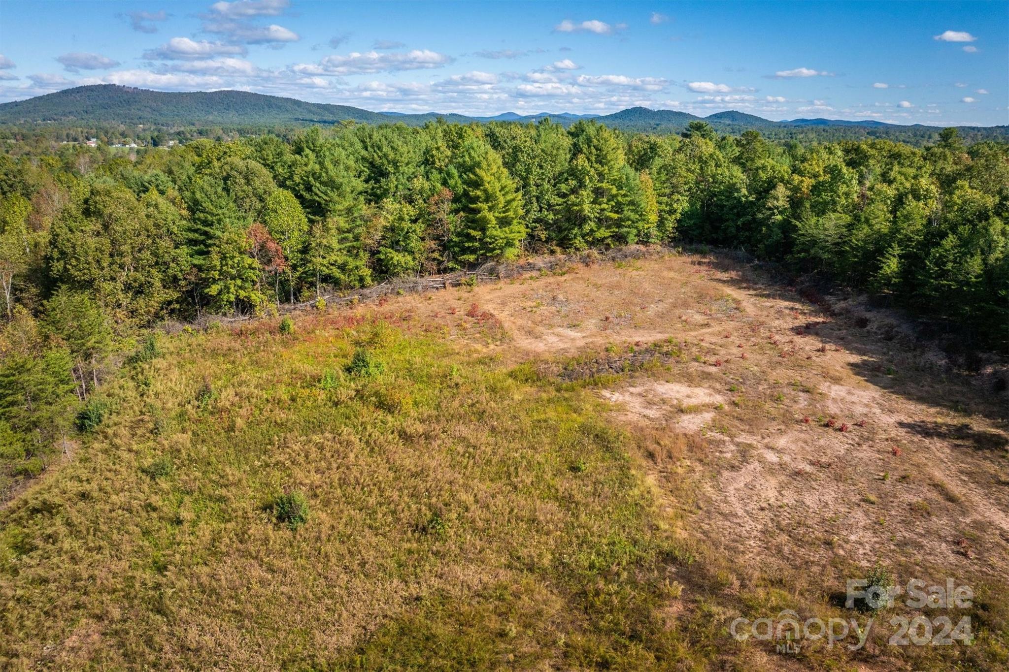 4054 Lower Cedar Valley Road Hudson, NC 28638 - Photo 11 of 15 a view of a pathway both side of yard