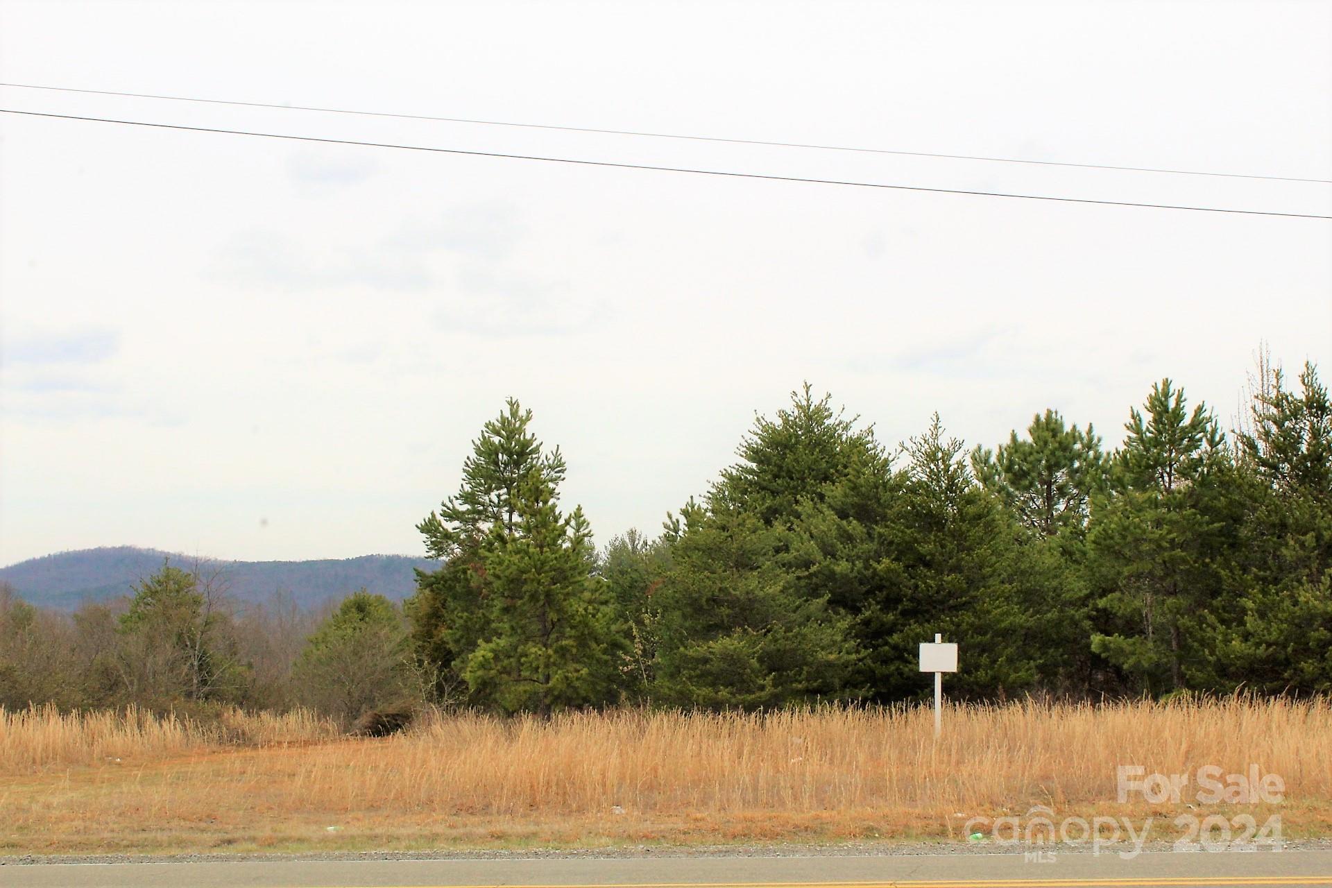 4054 Lower Cedar Valley Road Hudson, NC 28638 - Photo 14 of 15 a view of a yard