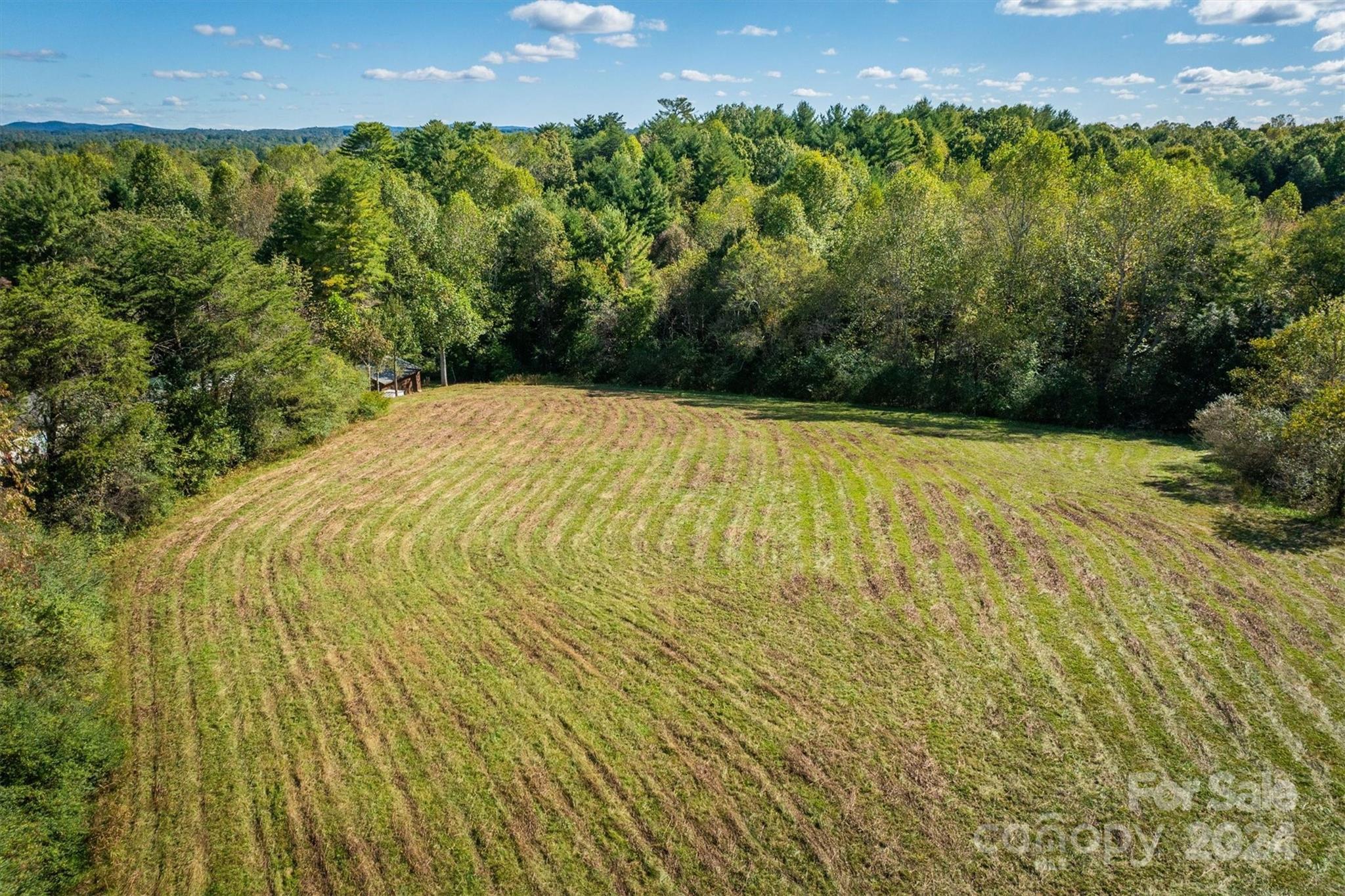 4054 Lower Cedar Valley Road Hudson, NC 28638 - Photo 3 of 15 a view of an outdoor space and a yard
