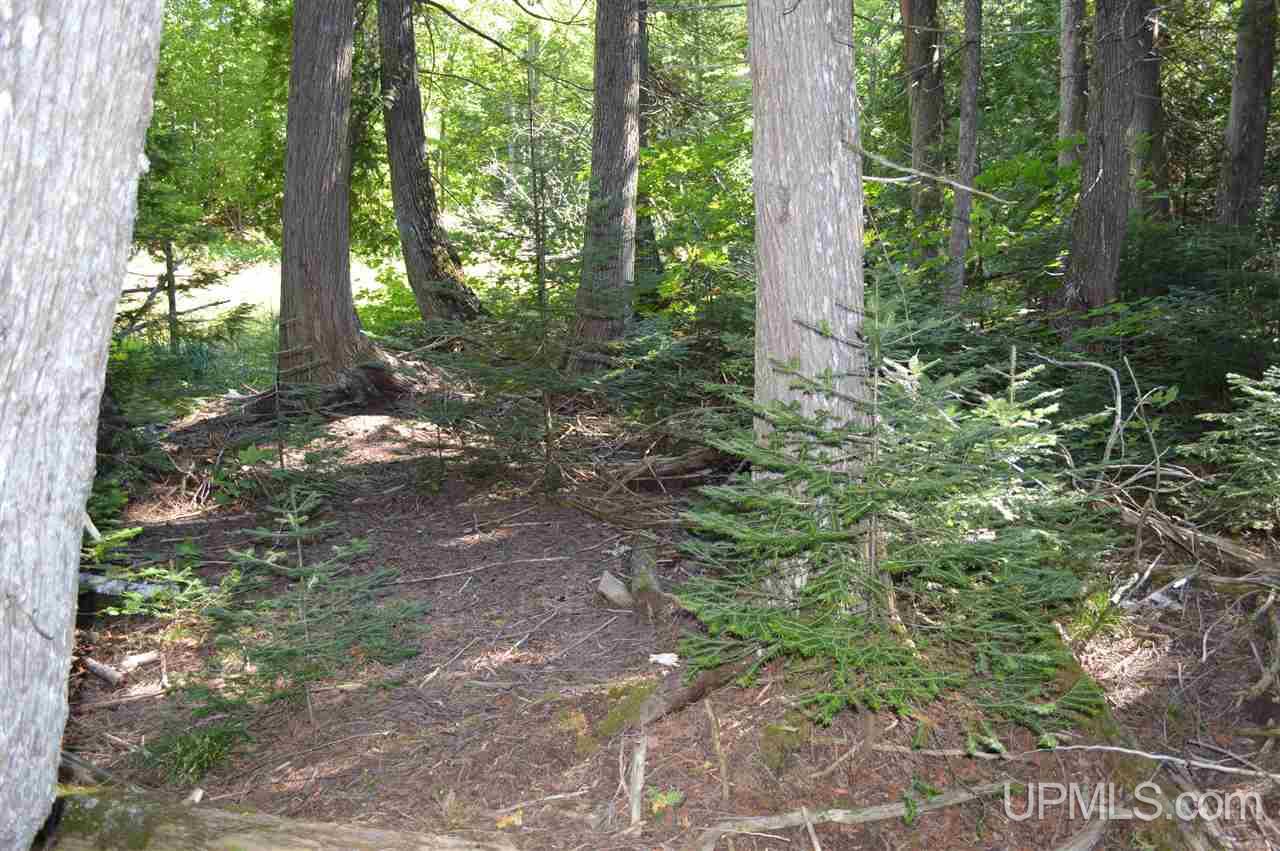 12144 Lake Medora Road Mohawk, MI 49950 - Photo 16 of 36 Gallery Image 16