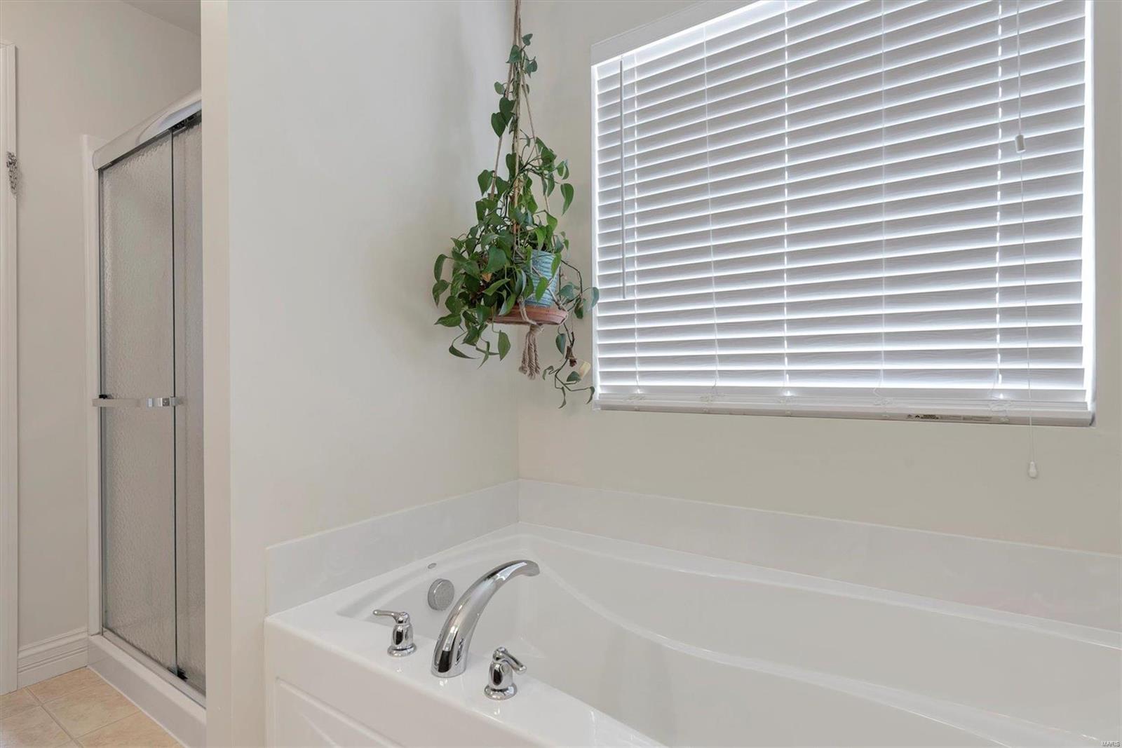 1322 Spring Lilly Drive High Ridge, MO 63049 - Photo 19 of 35