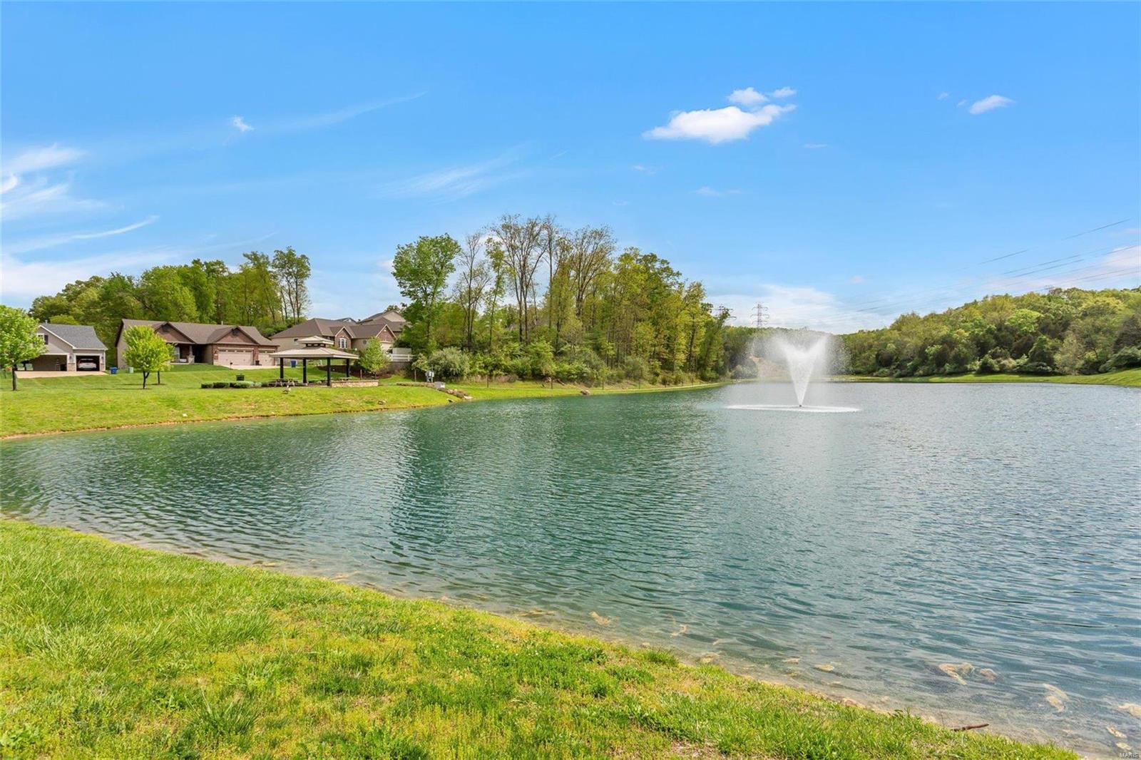 1322 Spring Lilly Drive High Ridge, MO 63049 - Photo 35 of 35