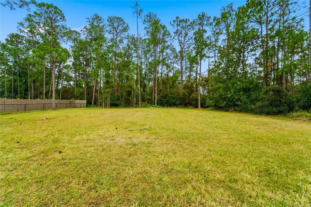 14728 Henson Road Orlando, FL 32832 - Photo 28 of 79
