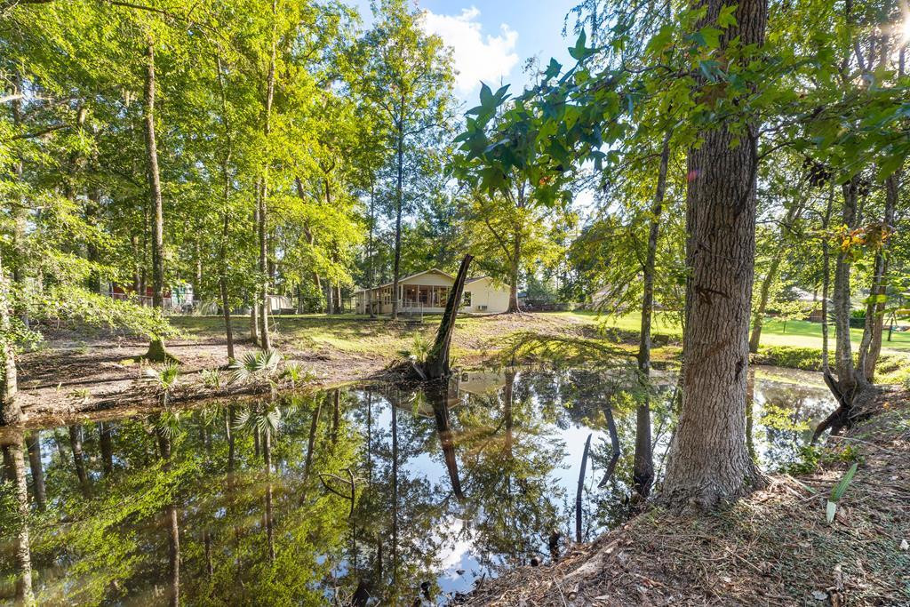 269 Outwater Lane Smoaks, SC 29481 - Photo 7 of 32 Photo 7