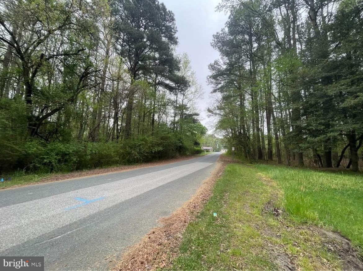 Nelpine Road Preston, MD 21655 - Photo 3 of 4 Serene road flanked by lush greenery.