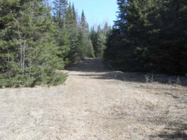 W8798 Lake Road Phillips, WI 54555 - Photo 11 of 20 Gallery Image 11