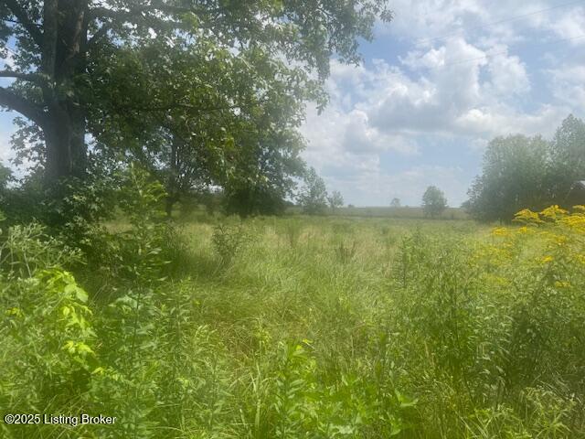 5551 Defries Road Canmer, KY 42722 - Photo 2 of 18 IMG_8221