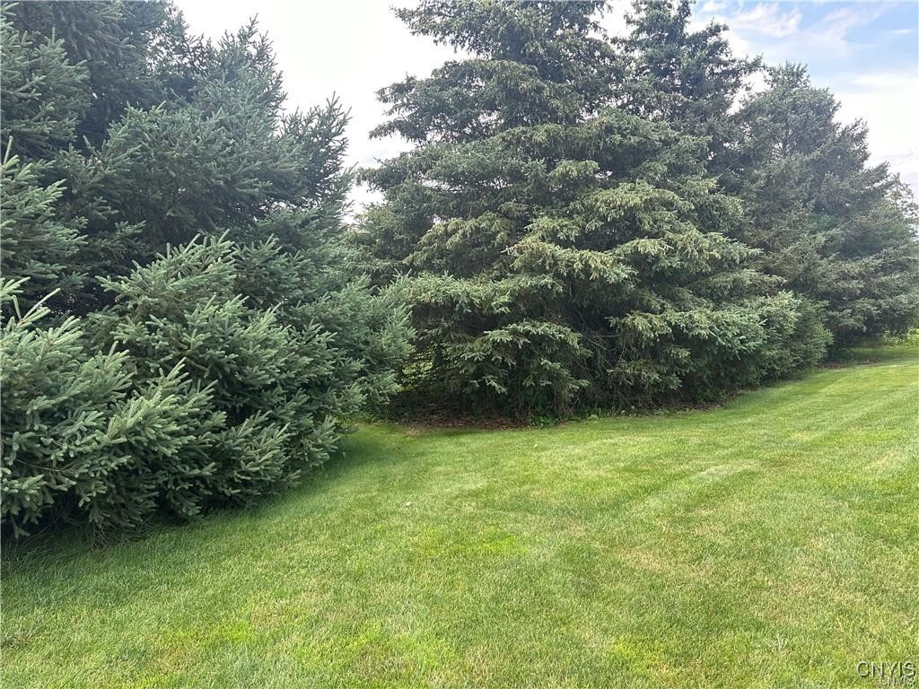 318 Middle Drive Lenox, NY 13032 - Photo 9 of 34