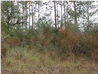 6 Williams Road DeFuniak Springs, FL 32433 - Photo 1 of 2 Gallery Image 1