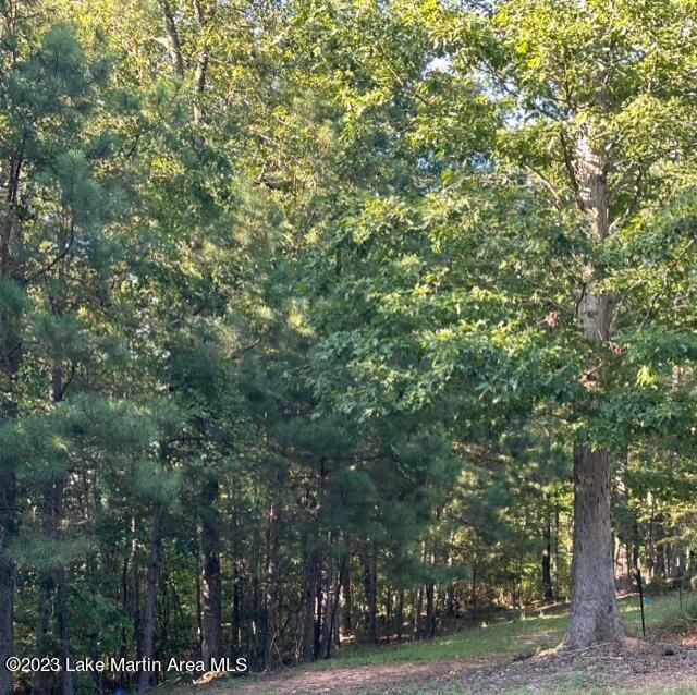 45 Rd Rockford Al Rockford, AL 35136 - Photo 1 of 1 Gallery Image 1